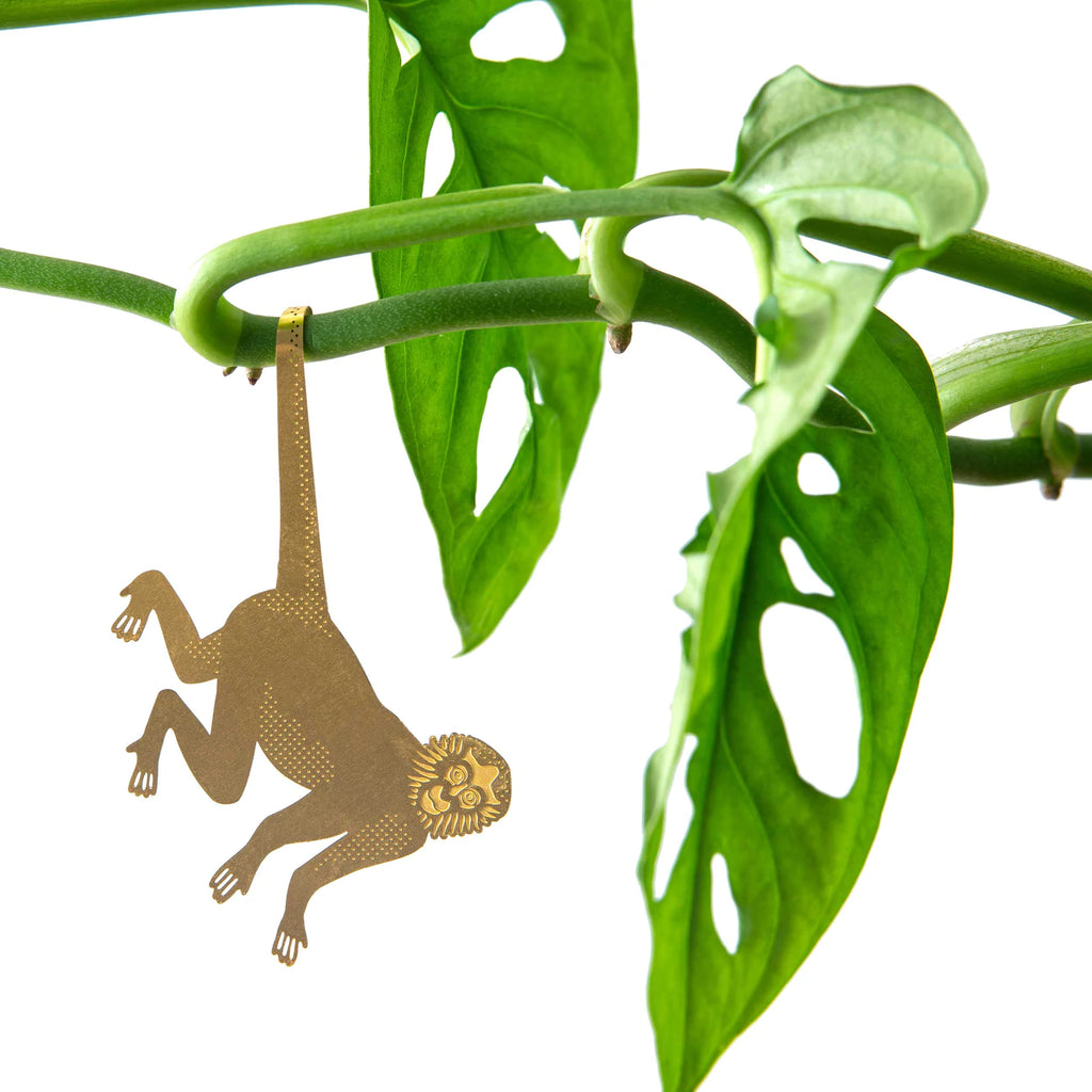 Plant Animals - Spider Monkey