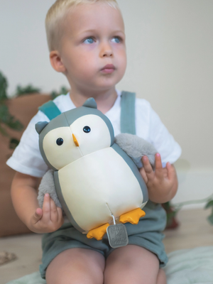 Musical Friends-Owl|Sensory Plush Toy