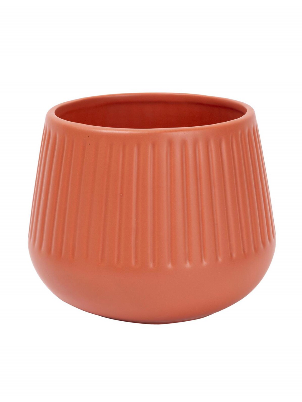 Coral Plant Pot