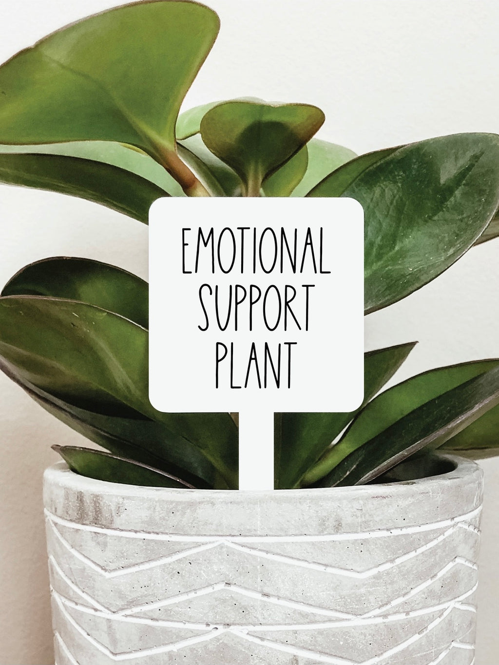 Emotional Support Plant Stake