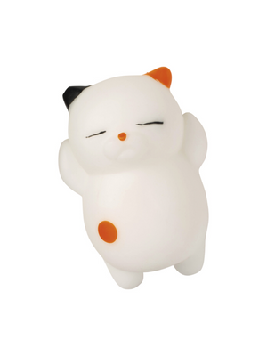 Crazy Cat Lady Fidget Toy
