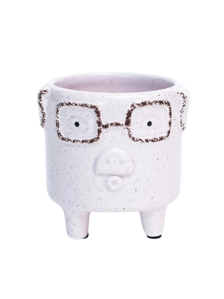 Piggy Planter