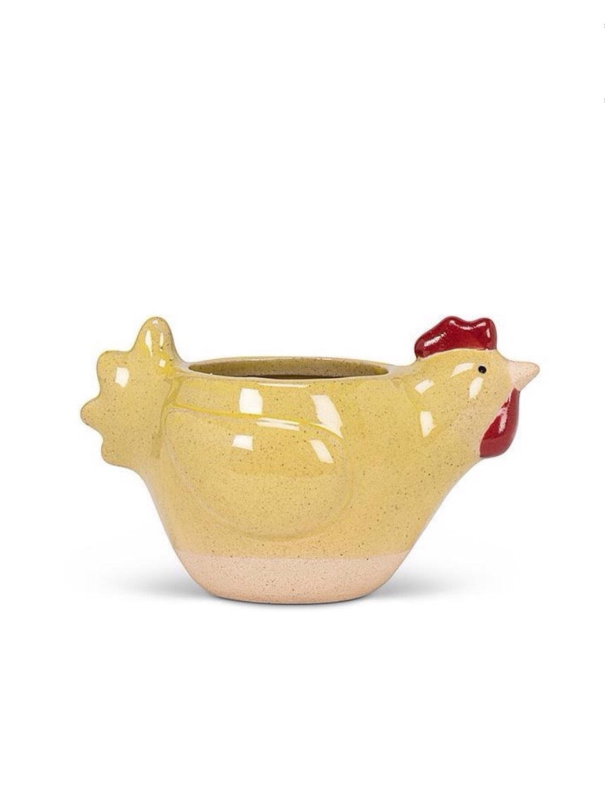 Chicken Plant Pot