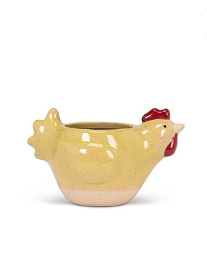 Chicken Plant Pot