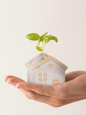 House Planter