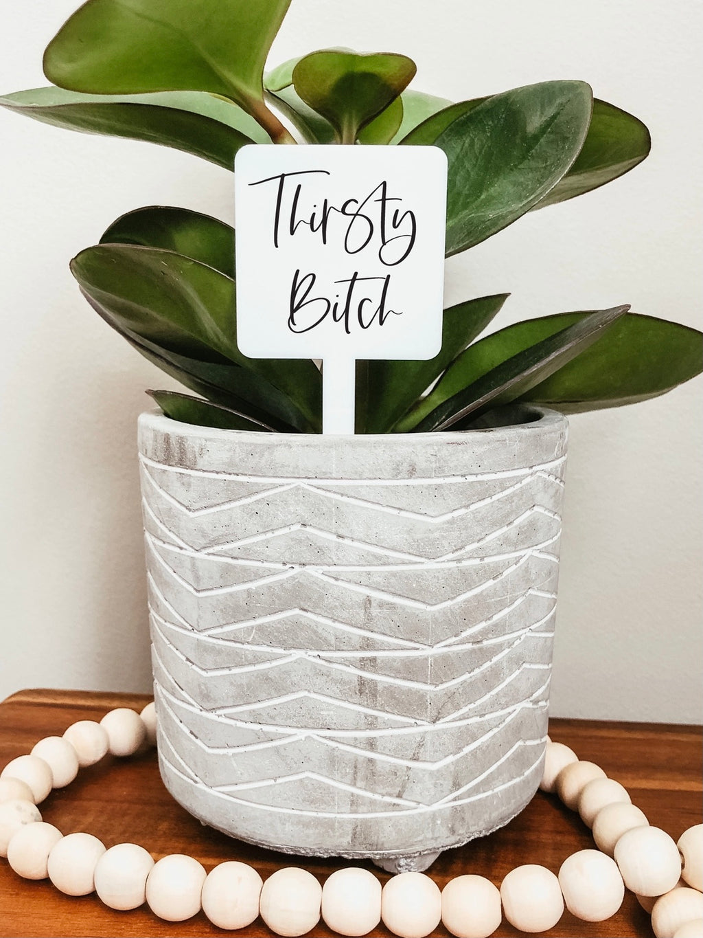 Thirsty Bitch Plant Stake