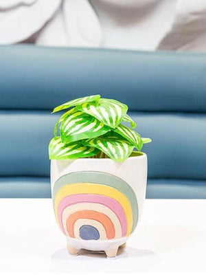 Rainbow Plant Pot