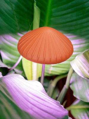 Mushroom Grow Light