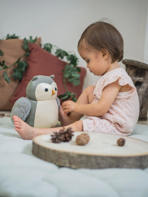 Musical Friends-Owl|Sensory Plush Toy