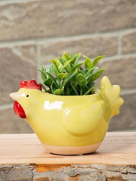 Chicken Plant Pot