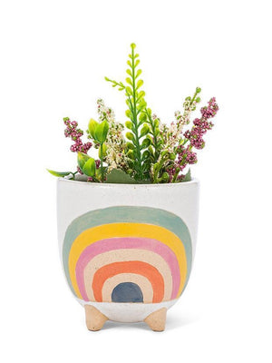 Rainbow Plant Pot