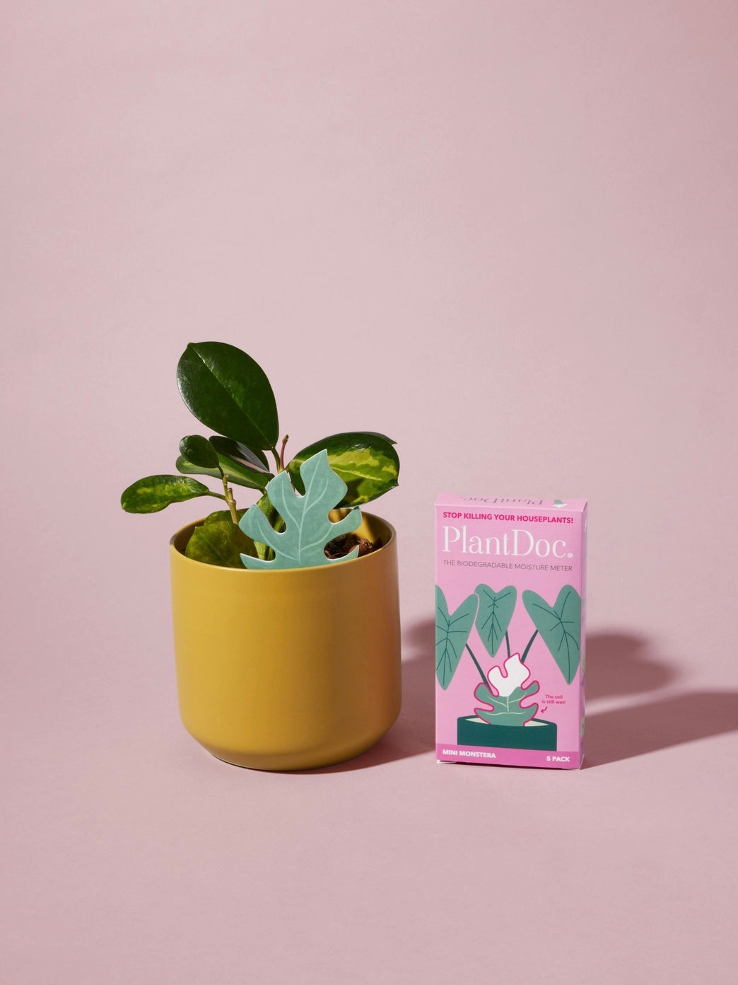 Color-Change Plant Moisture Meter