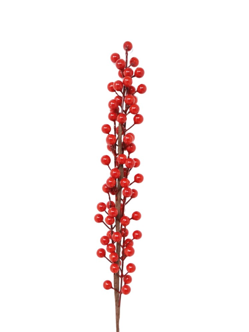 Red Berries Branch