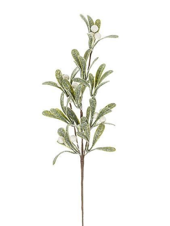 Mistletoe Branch