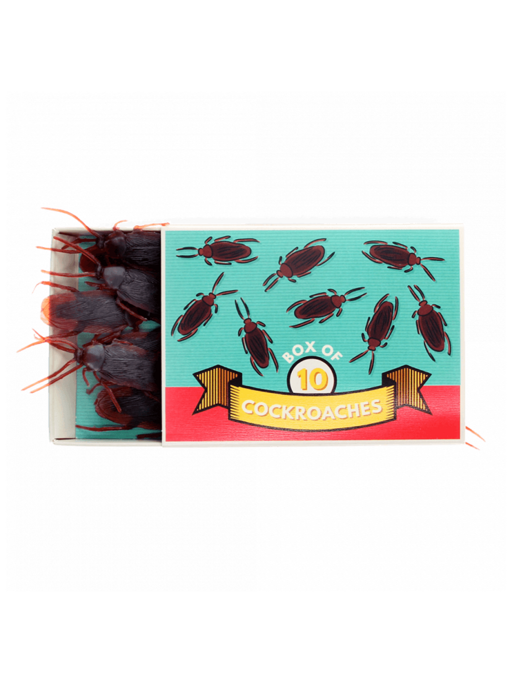 Box of Cockroaches