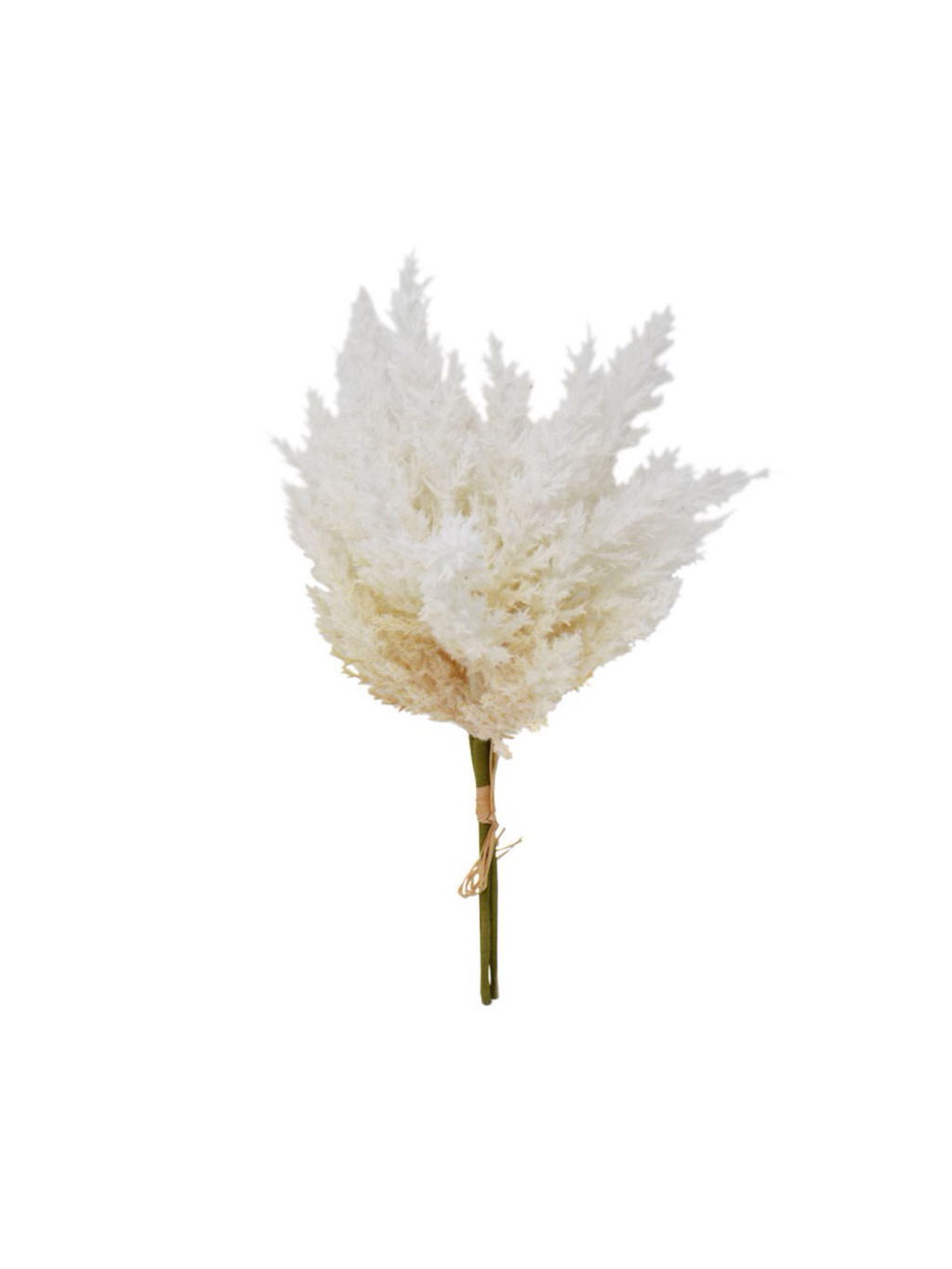 Reed Branch