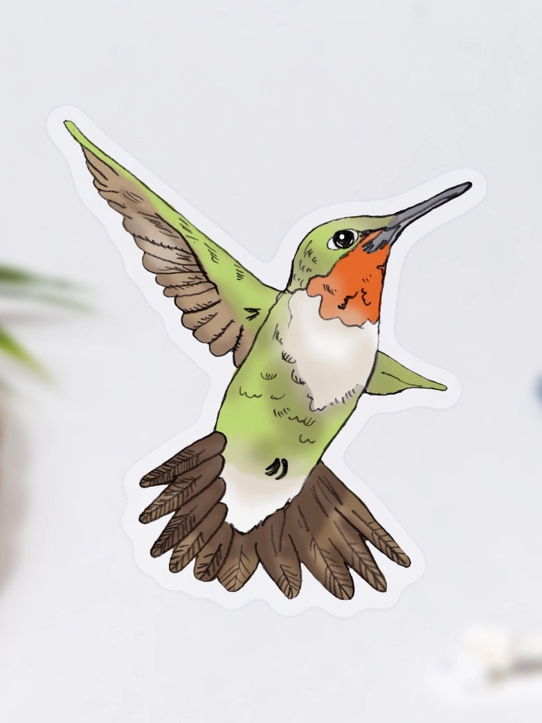Hummingbird Sticker – Abel Mountain