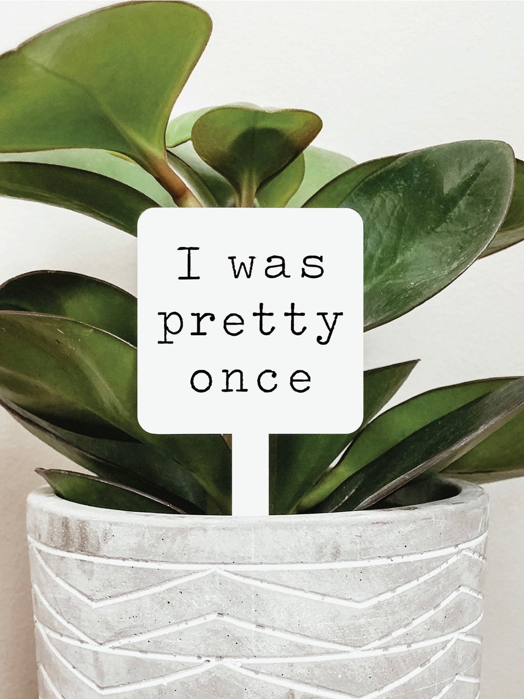 Pretty Once Plant Stake