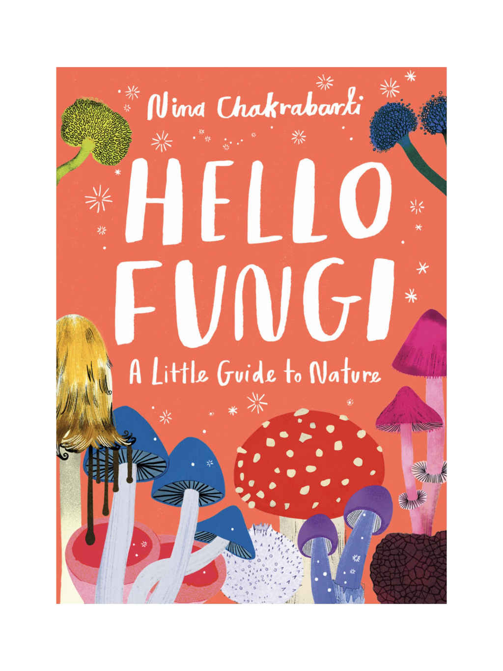 Little Guides to Nature: Hello Fungi