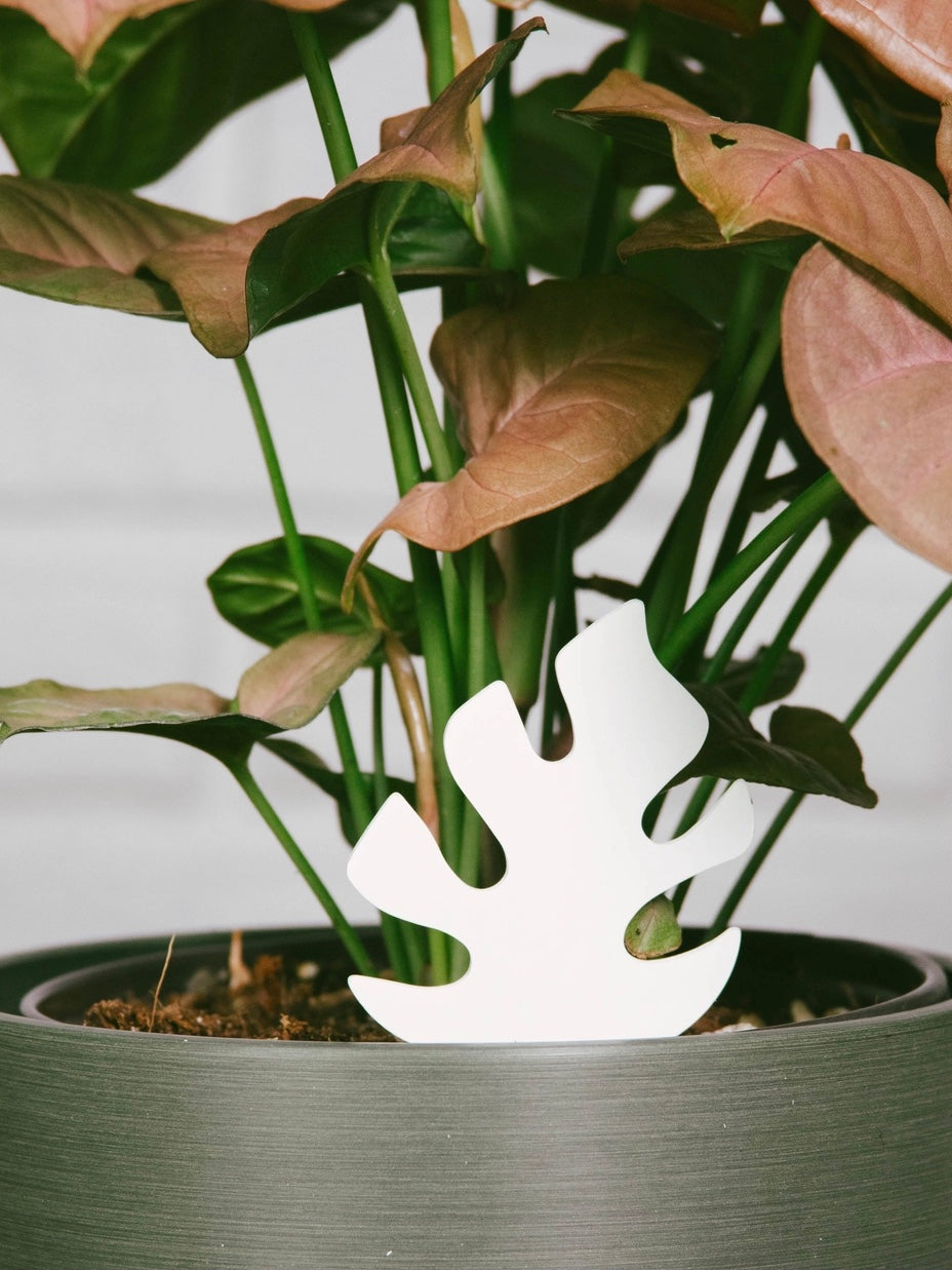 Color-Change Plant Moisture Meter