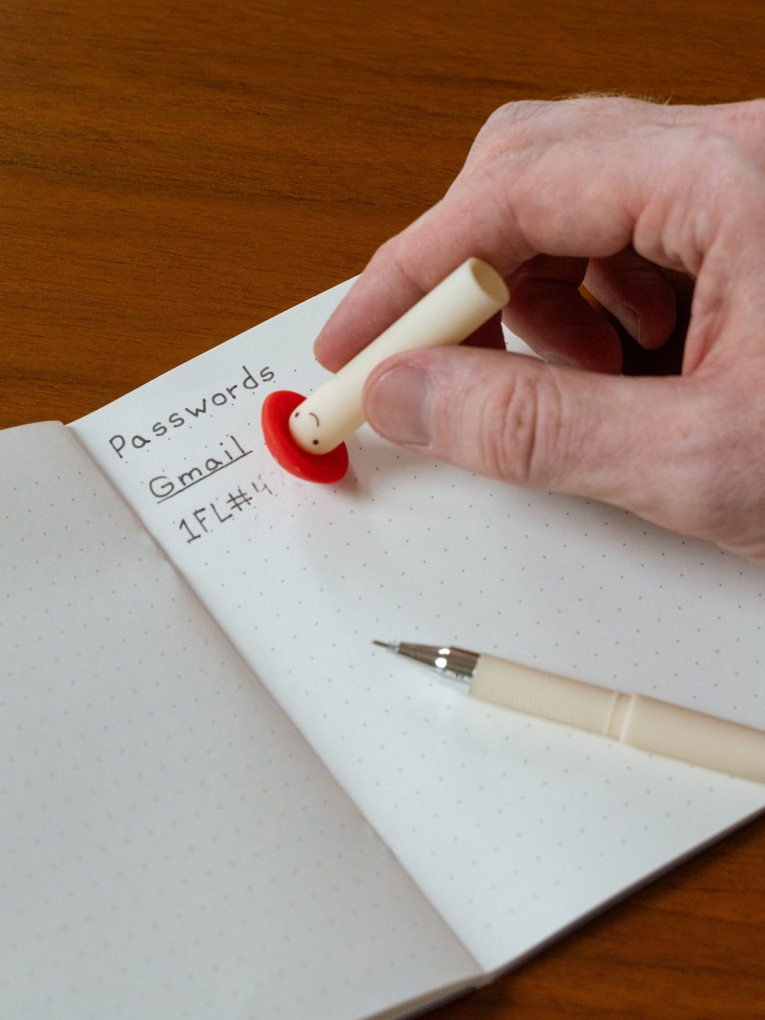 Erasable Mushroom Pen
