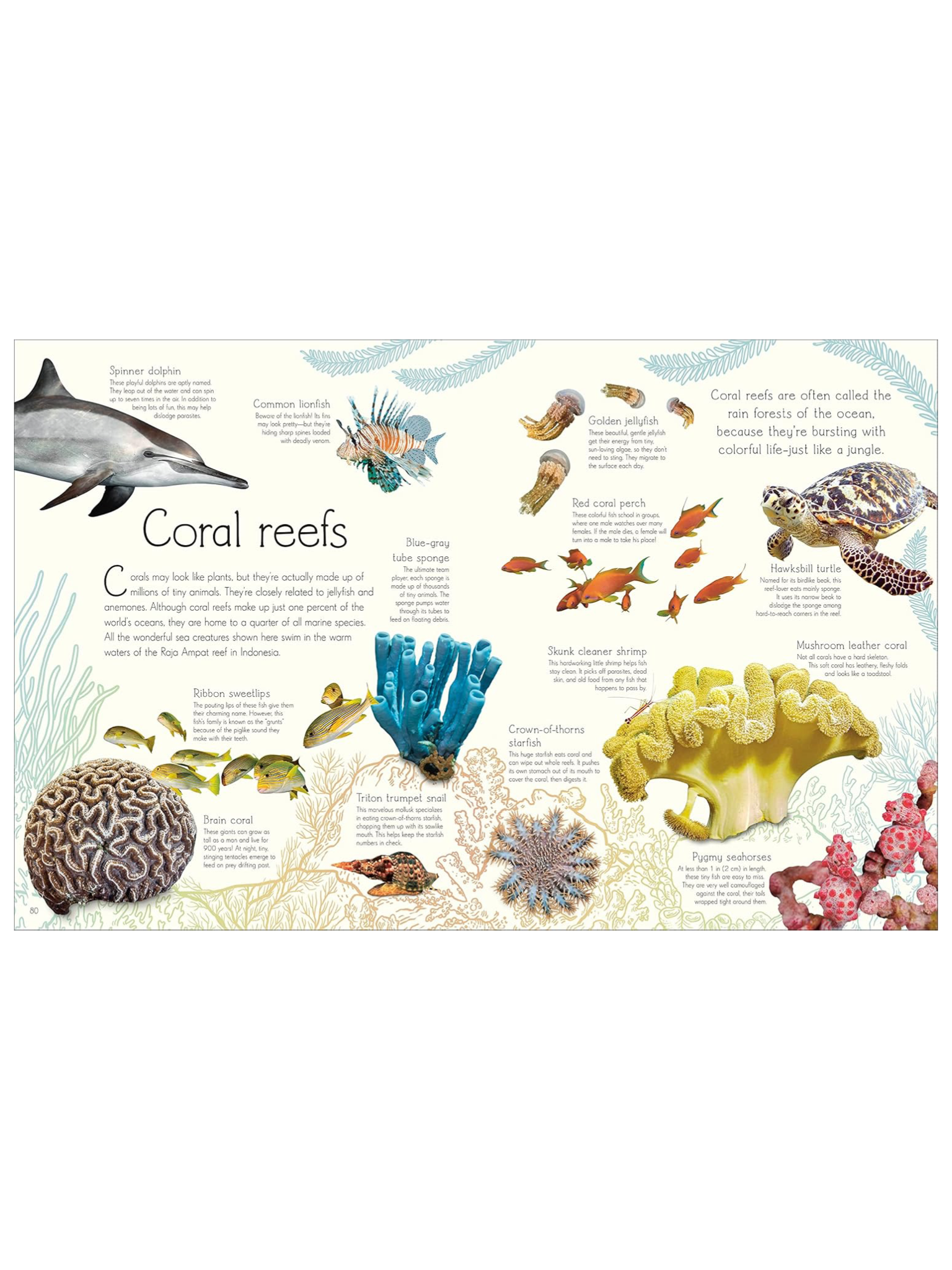 Anthology of Aquatic Life