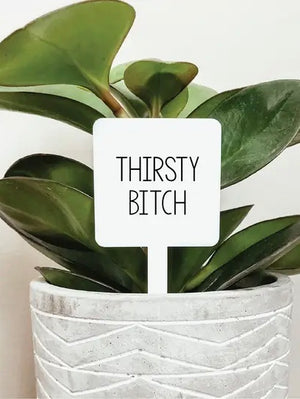 Thirsty Bitch Plant Stake