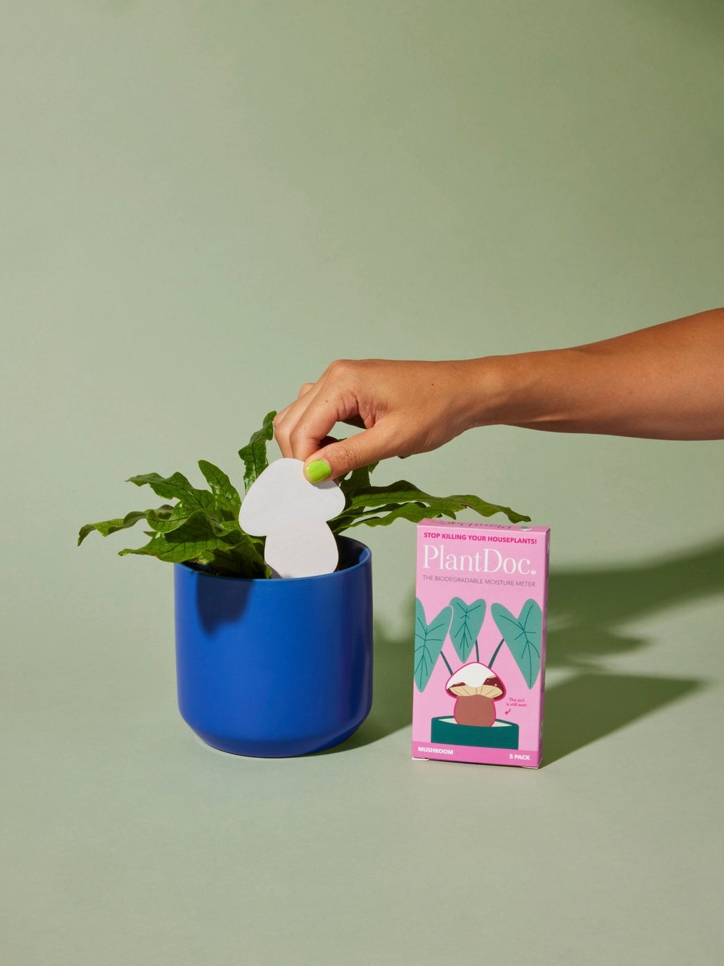 Color-Change Plant Moisture Meter