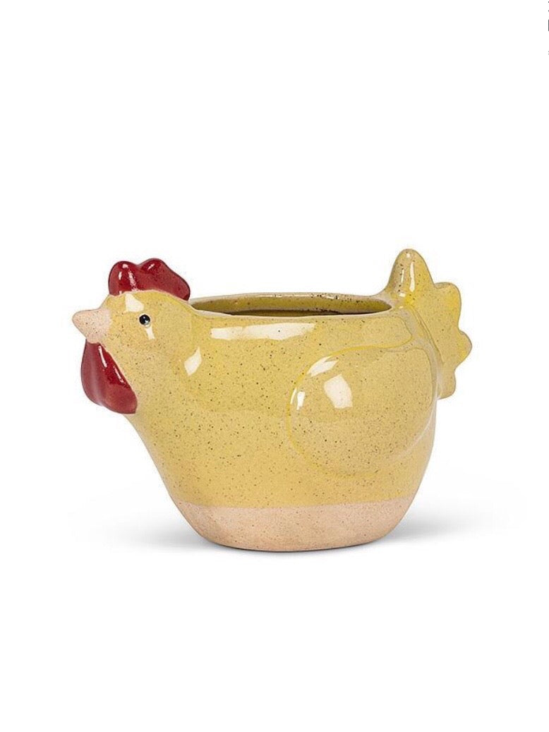 Chicken Plant Pot