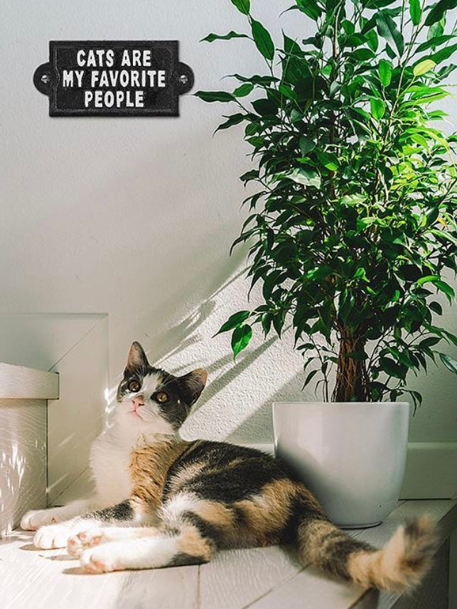 Cats Are My Favorite People Sign