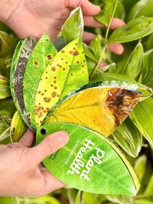 Plant Health Handbook