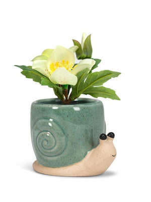 Snail Planter