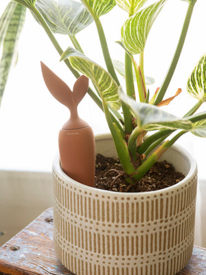 Terracotta Watering Carrot