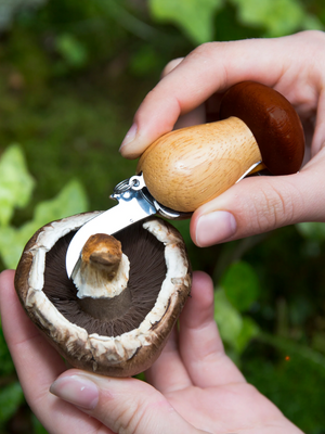 Mushroom Tool Keychain