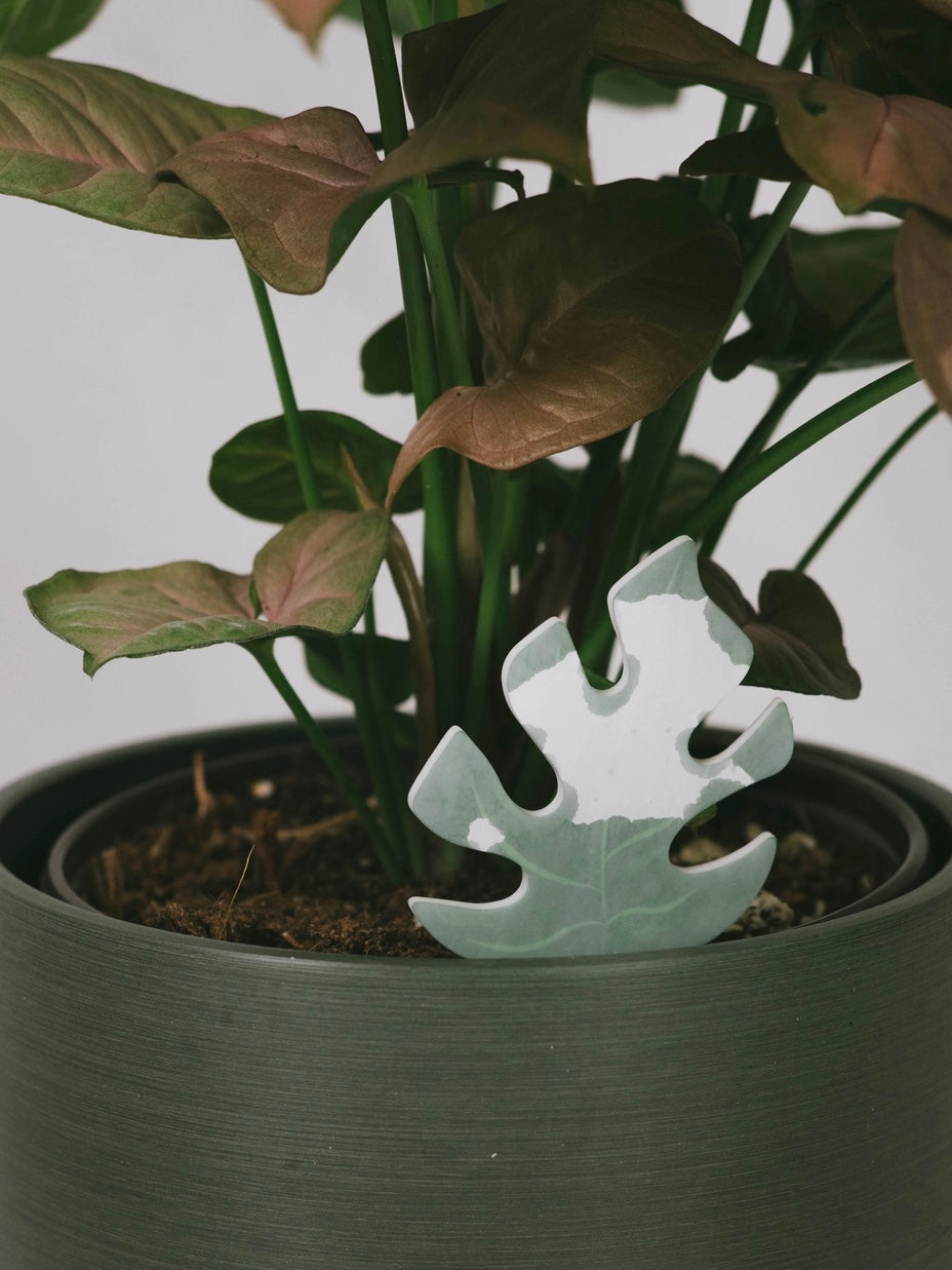 Color-Change Plant Moisture Meter