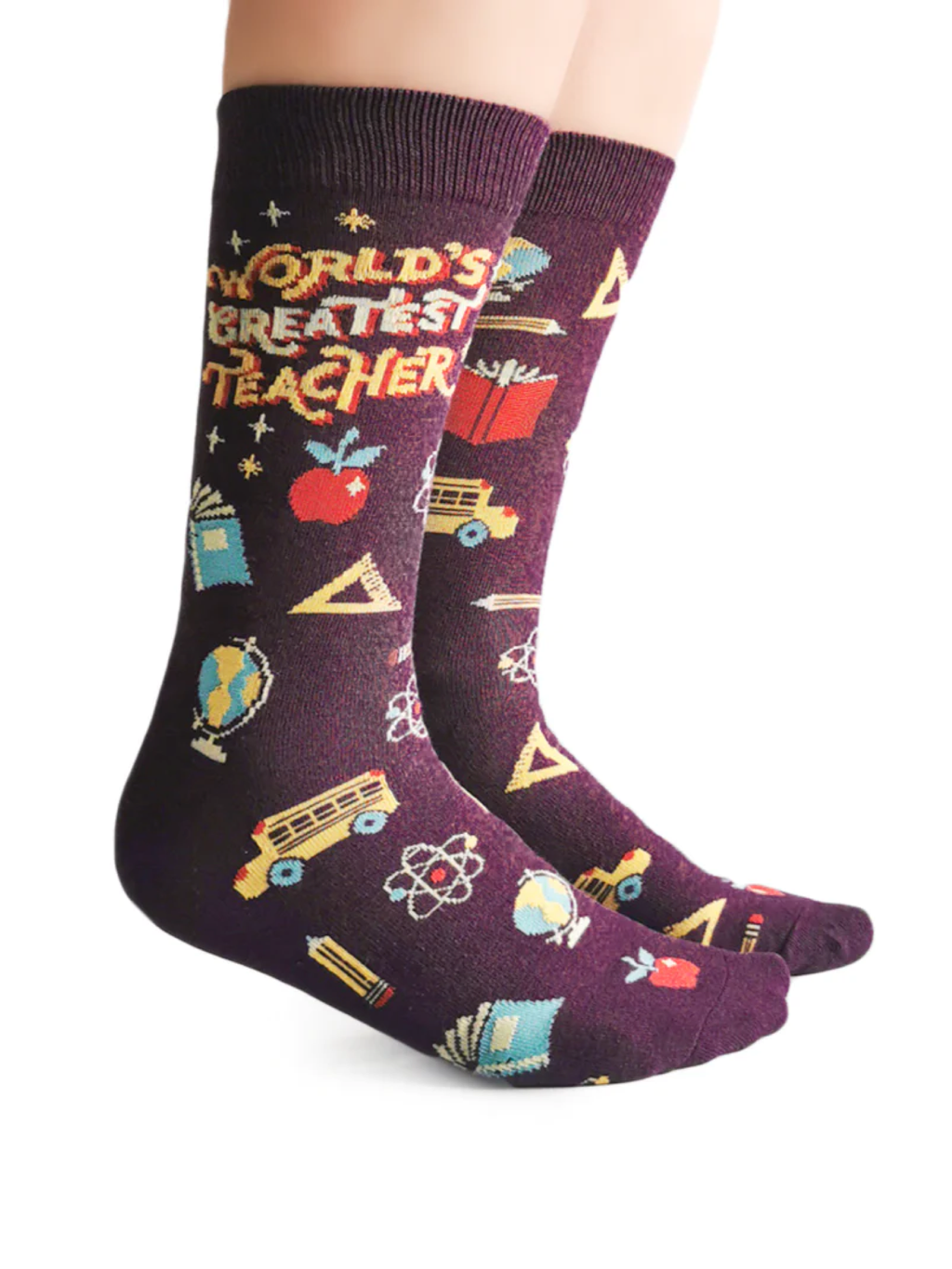 Teacher’s Pet Socks