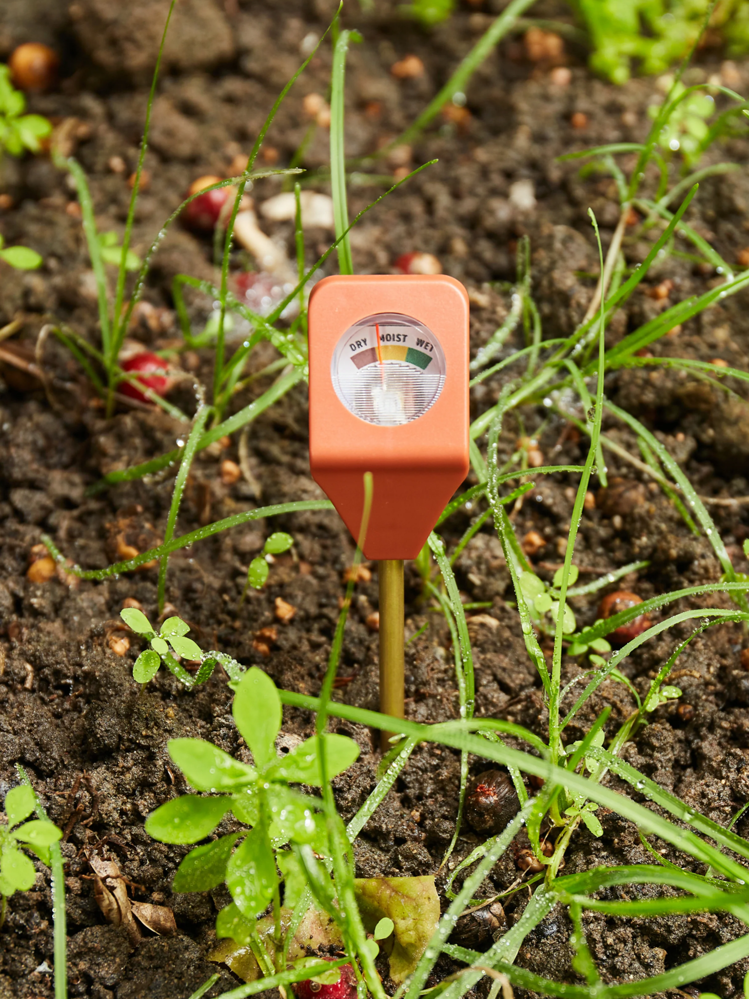 Hydrometer