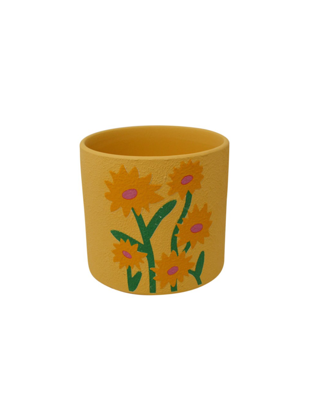 Rudbeckia Pot