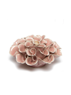 Pink Coral- Medium
