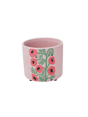 Echinacea Planter
