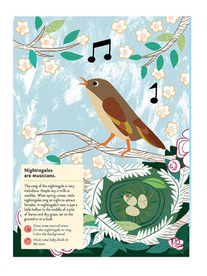 Birds Of The World Sticker Book