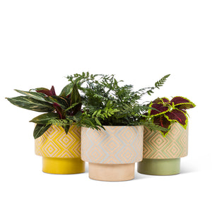 T-Shaped Geometric Planters