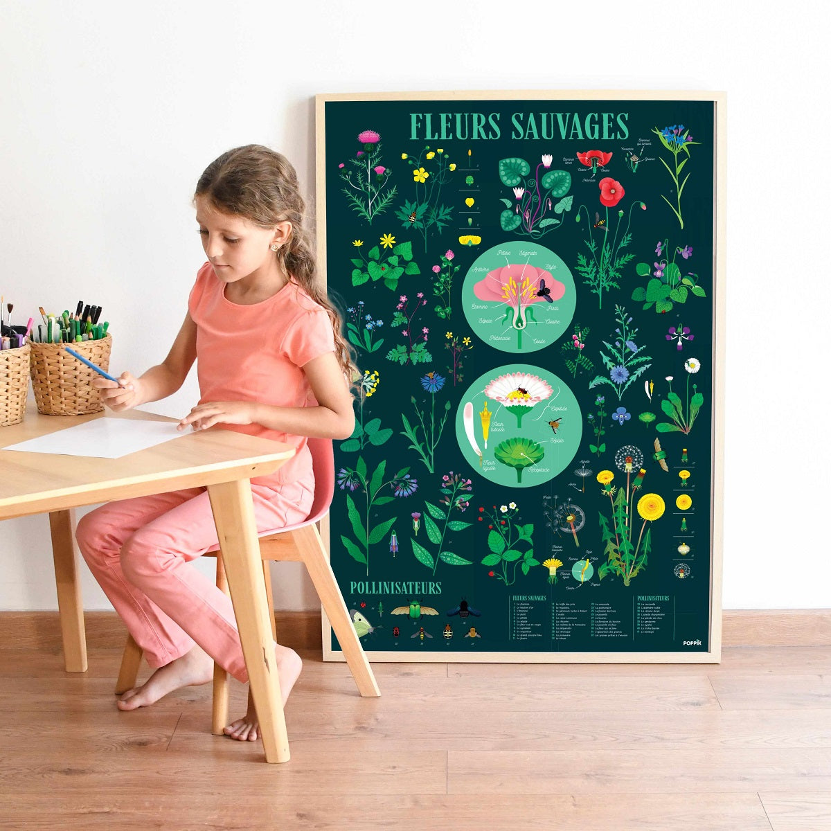 Discovery Poster- Flowers