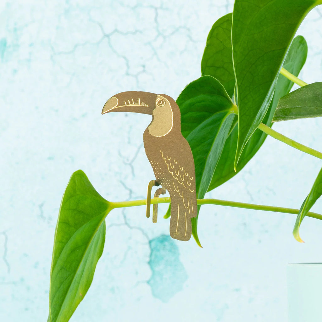Plant Animals - Toucan
