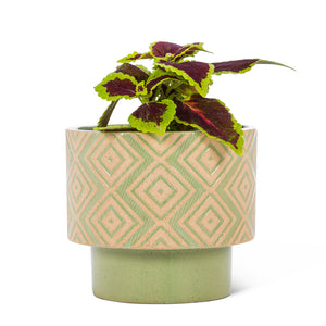 T-Shaped Geometric Planters