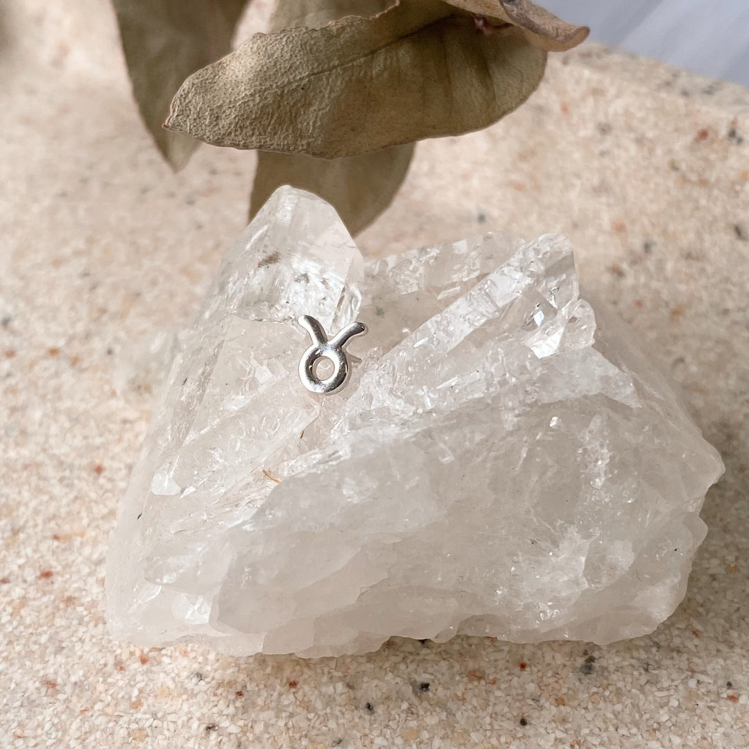 Zodiac Earrings- Silver