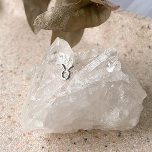 Zodiac Earrings- Silver