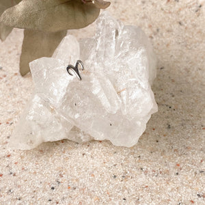 Zodiac Earrings- Silver