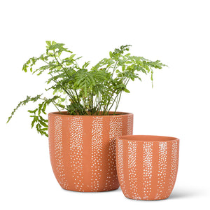 Dot Planter