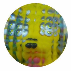 Tin Fly’s Eye